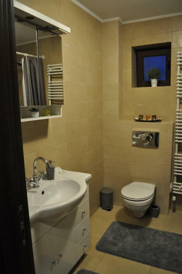 Sleep & Fly Apartment Otopeni Buitenkant foto